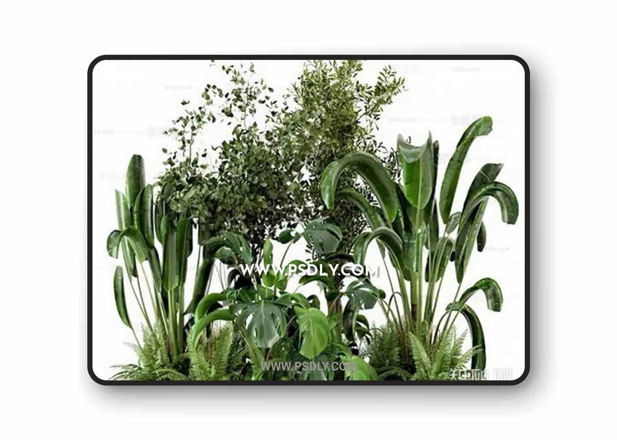 Plants collection 1231635 3D Model