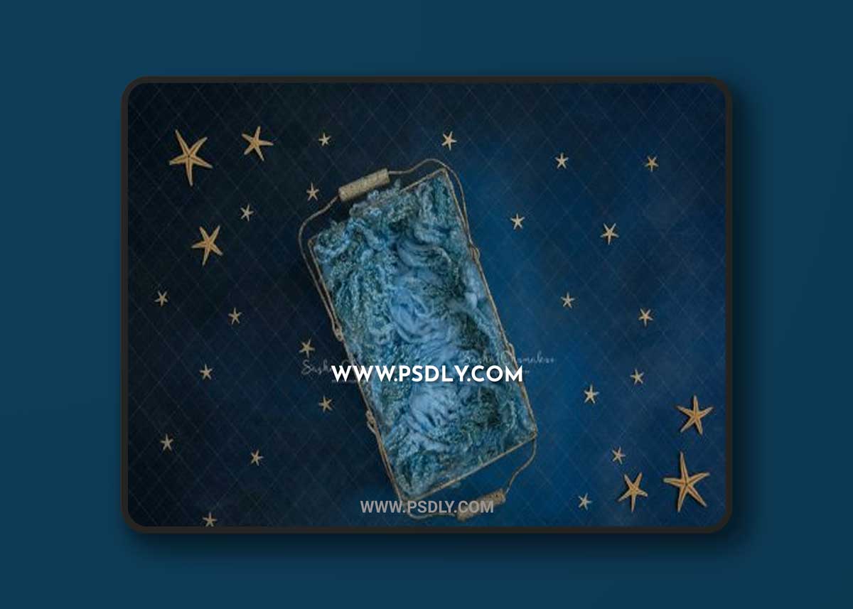 Sasha Chomakov - Newborn Digital Backdrop - Sea stars