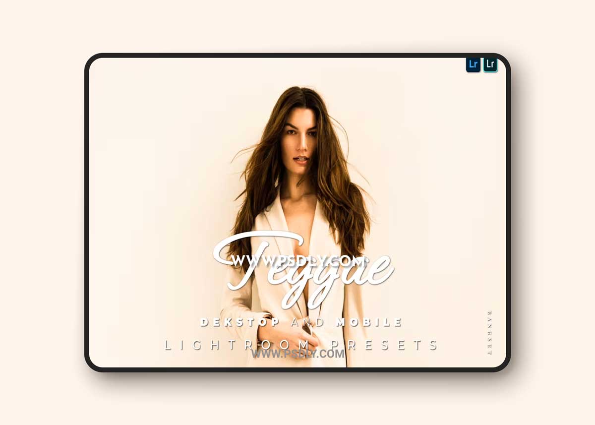 Teggae Desktop and Mobile Lightroom Preset