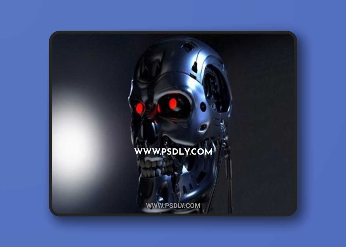 Terminator 2 Judgement Day Skull