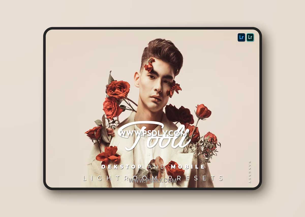 Tooli Desktop and Mobile Lightroom Preset