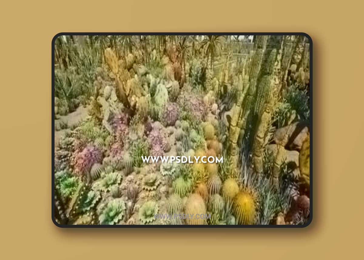 Unreal Engine – Cactus Plants - Desert Garden