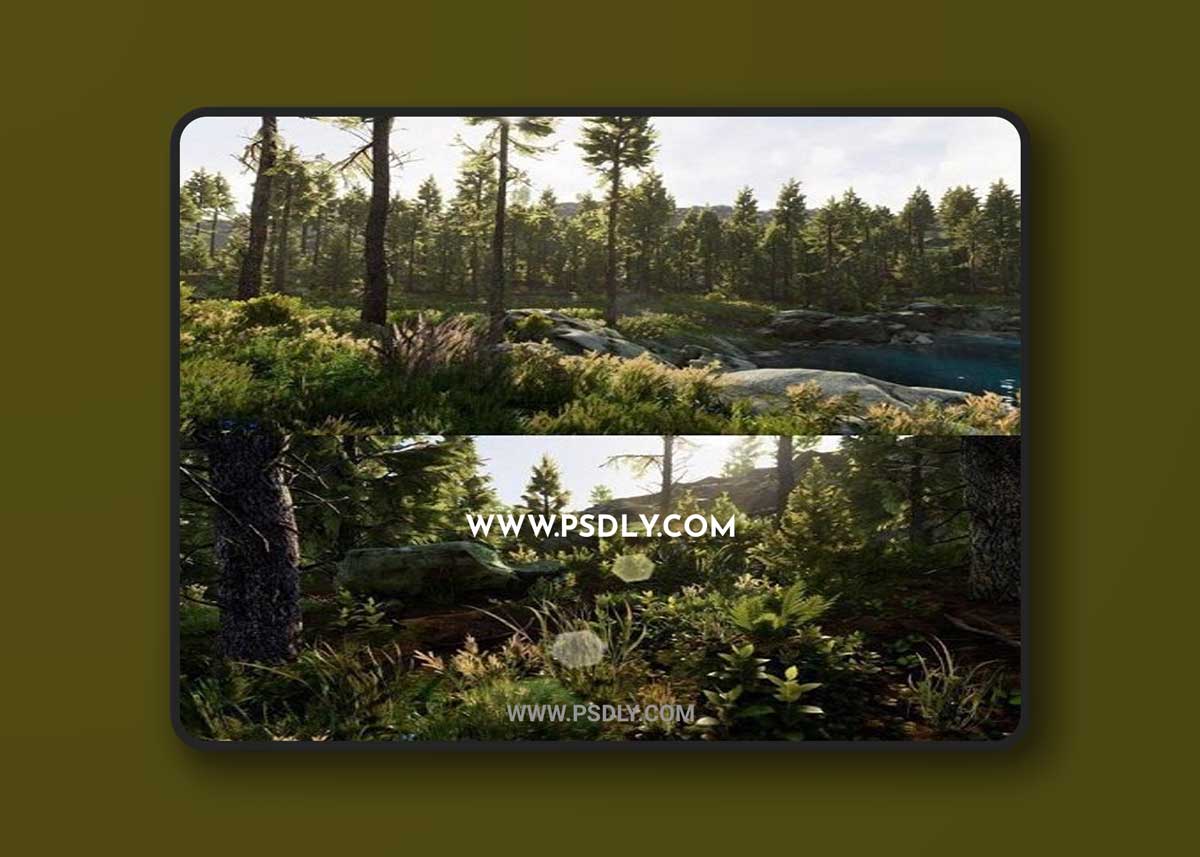 Unreal Engine – Landscape Pro 3 - Automatic Natural Environment Creation Tool