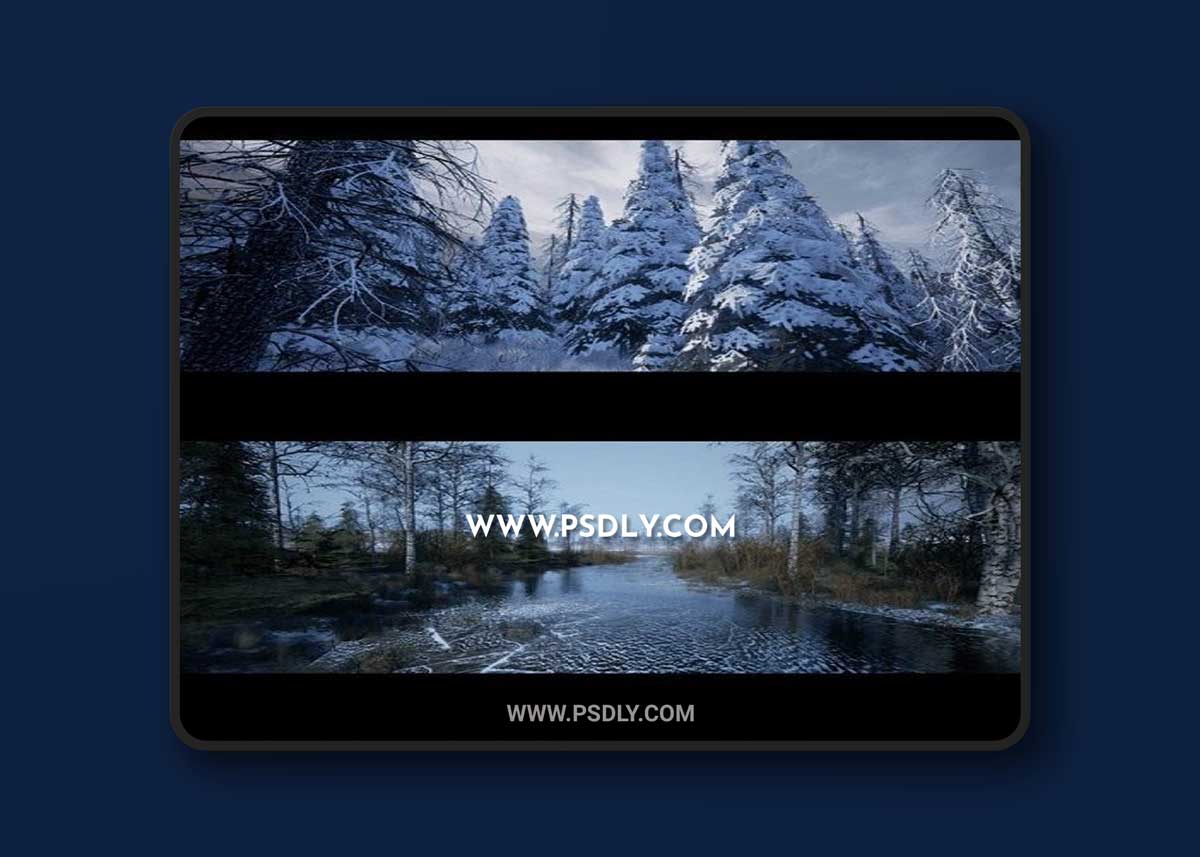 Unreal Engine – Northern Forest 3D Model