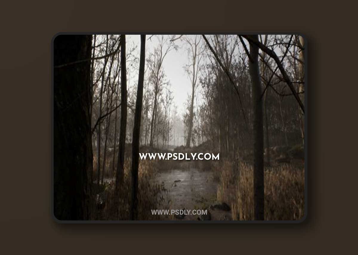 Unreal Engine – Procedural Forest