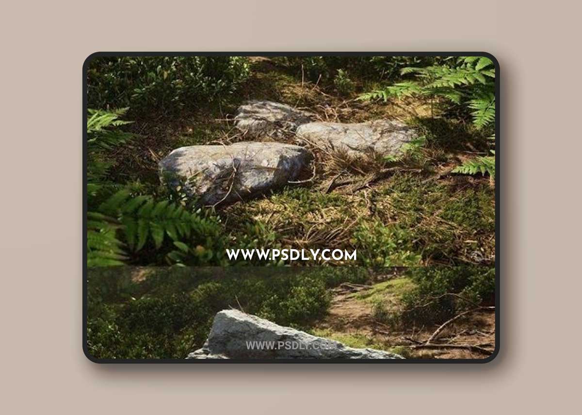 Unreal Engine – Scots Pine Forest Biome