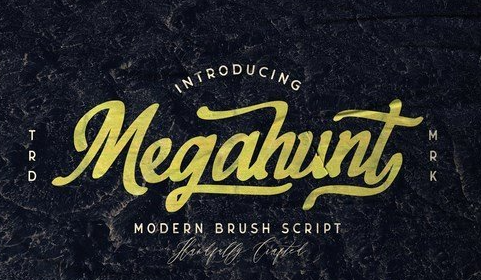 Megahunt - Brush Script Font 5039357