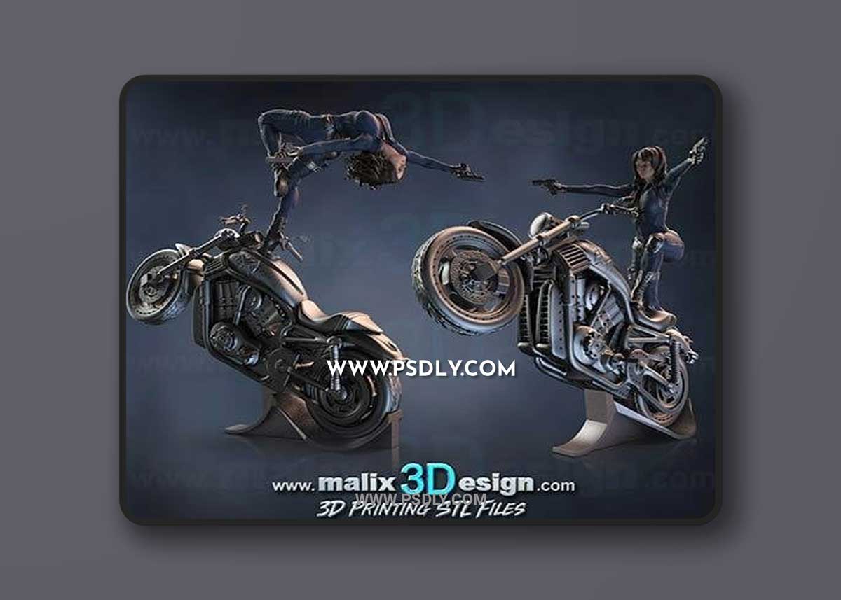 3D Print Models Agent Of Shield