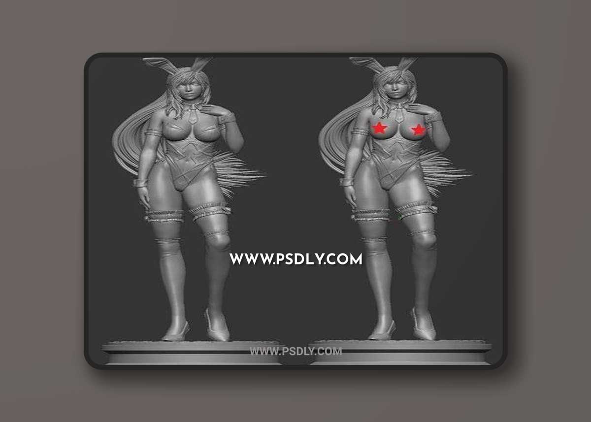 3D Print Models Tifa Lockhart Bunny