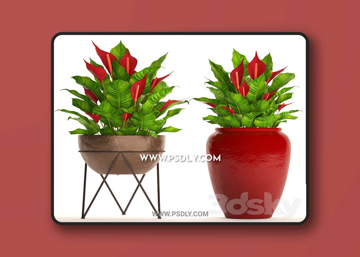 A collection of plants in pots. 55 RED 3D Model