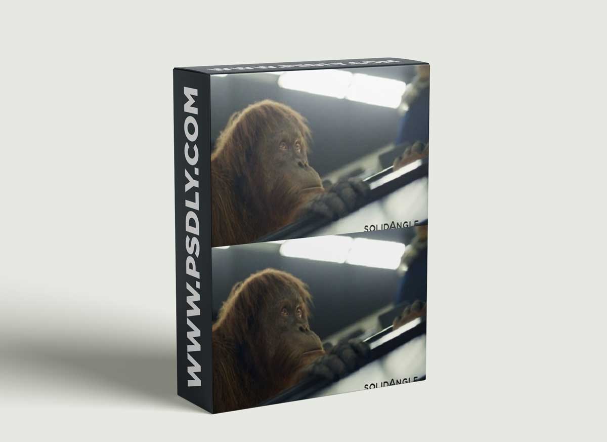 Arnold v5.0.0.3 for Maya 2019 – 2022