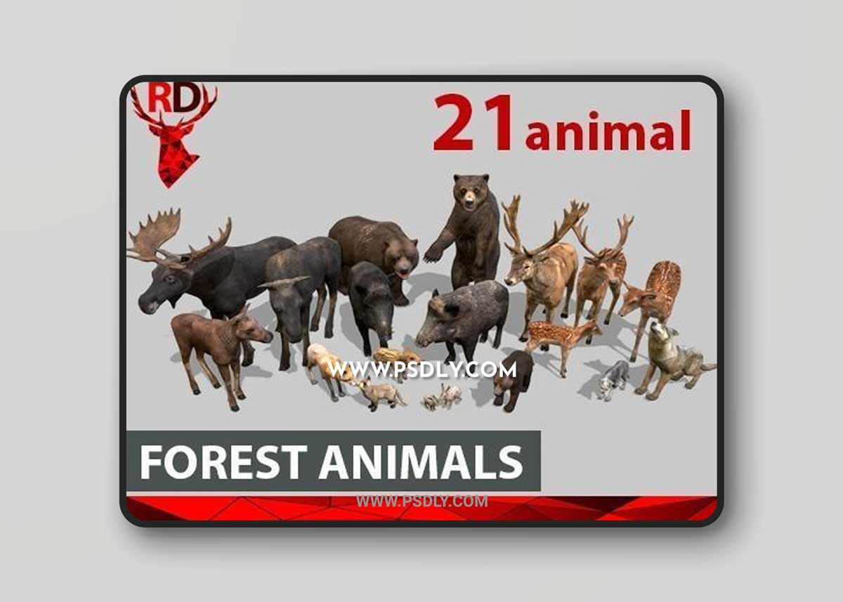 CGTrader - Animated Forest animals pack 3D Model