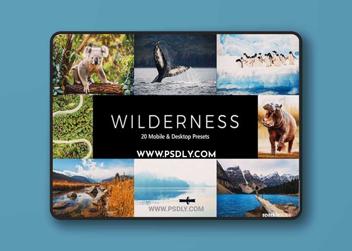 CreativeMarket - 20 Wilderness LR Presets 5461646