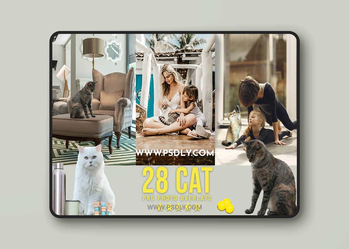 CreativeMarket - 28 Cat Photoshop Overlays 6737913