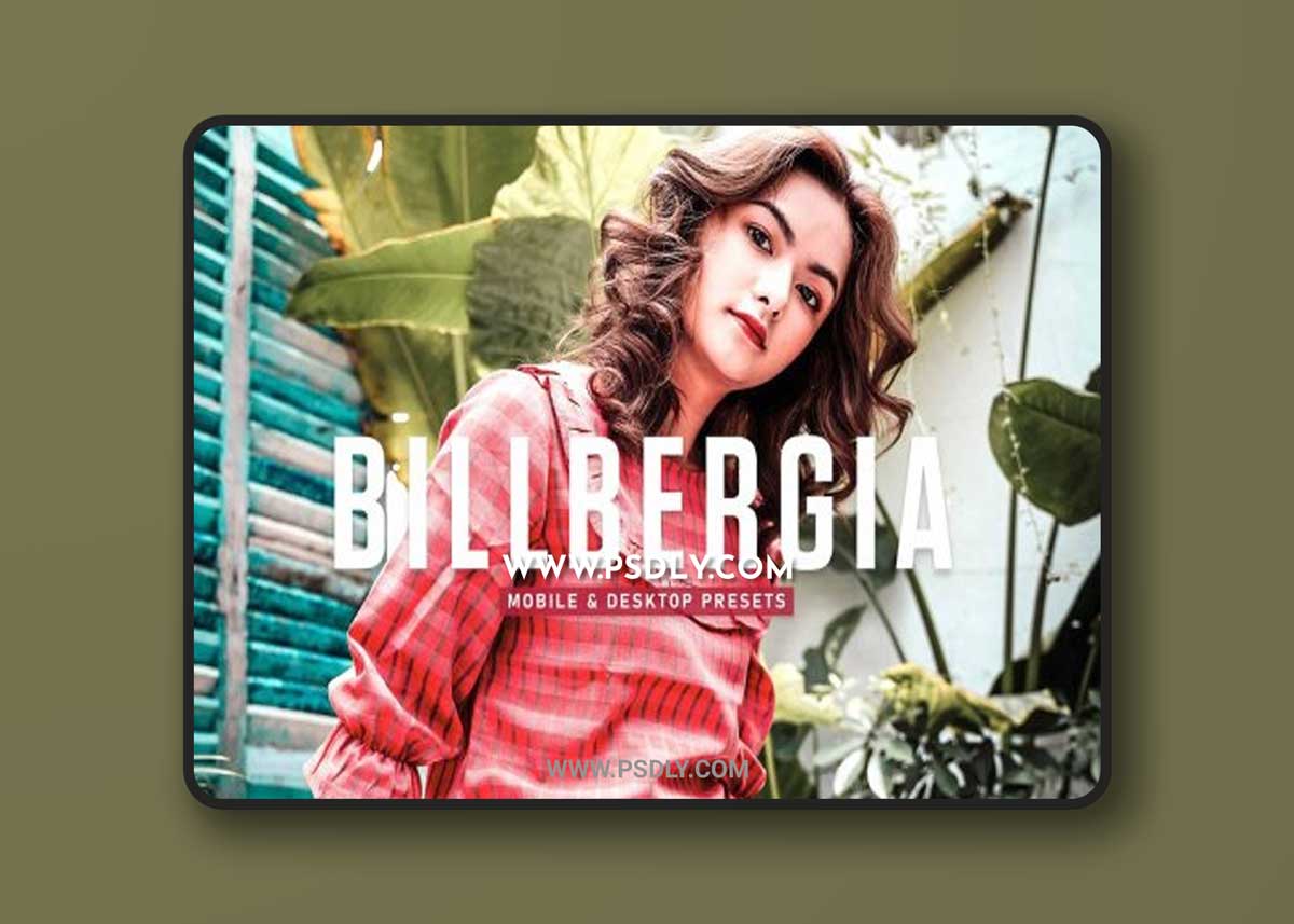 CreativeMarket - Billbergia Pro Lightroom Presets 6925580