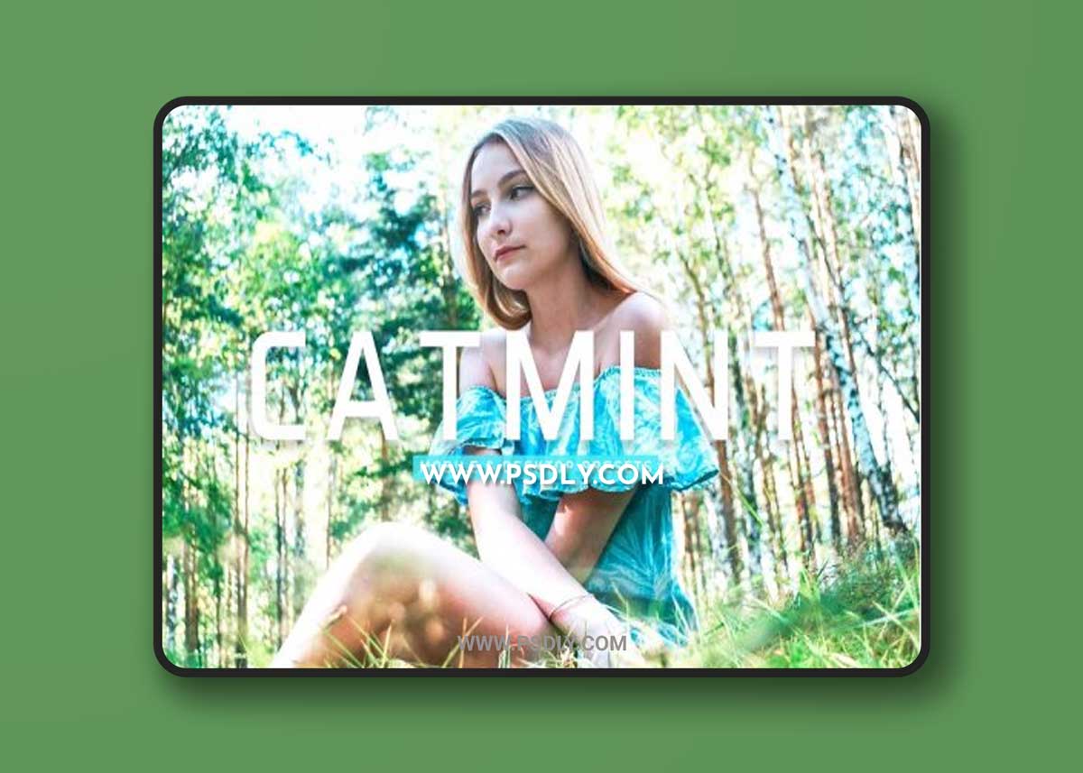 CreativeMarket - Catmint Pro Lightroom Presets 6926796