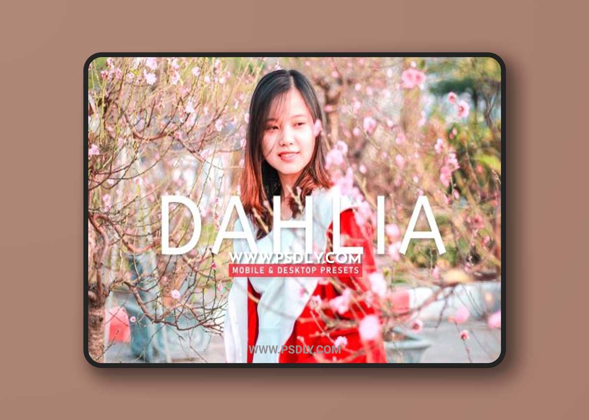 CreativeMarket - Dahlia Pro Lightroom Presets 6929653