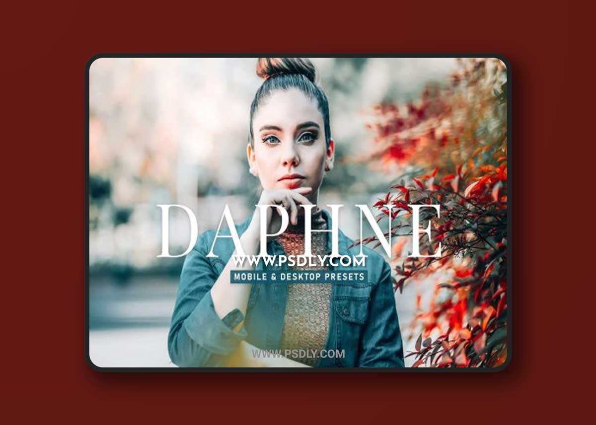 CreativeMarket - Daphne Pro Lightroom Presets 6929655