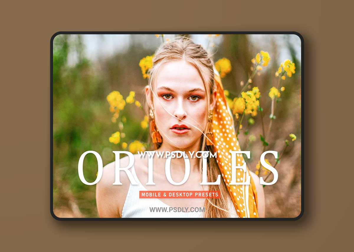 CreativeMarket - Orioles Pro Lightroom Presets 6924892