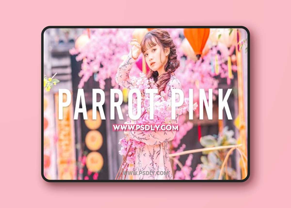 CreativeMarket - Parrot Pink Pro Lightroom Presets 6924894