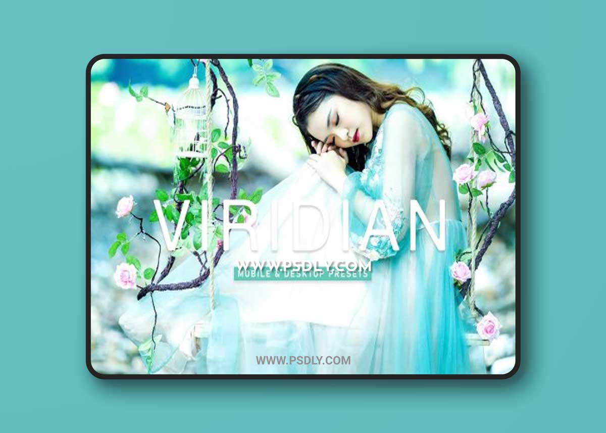 CreativeMarket - Viridian Pro Lightroom Presets 6924923