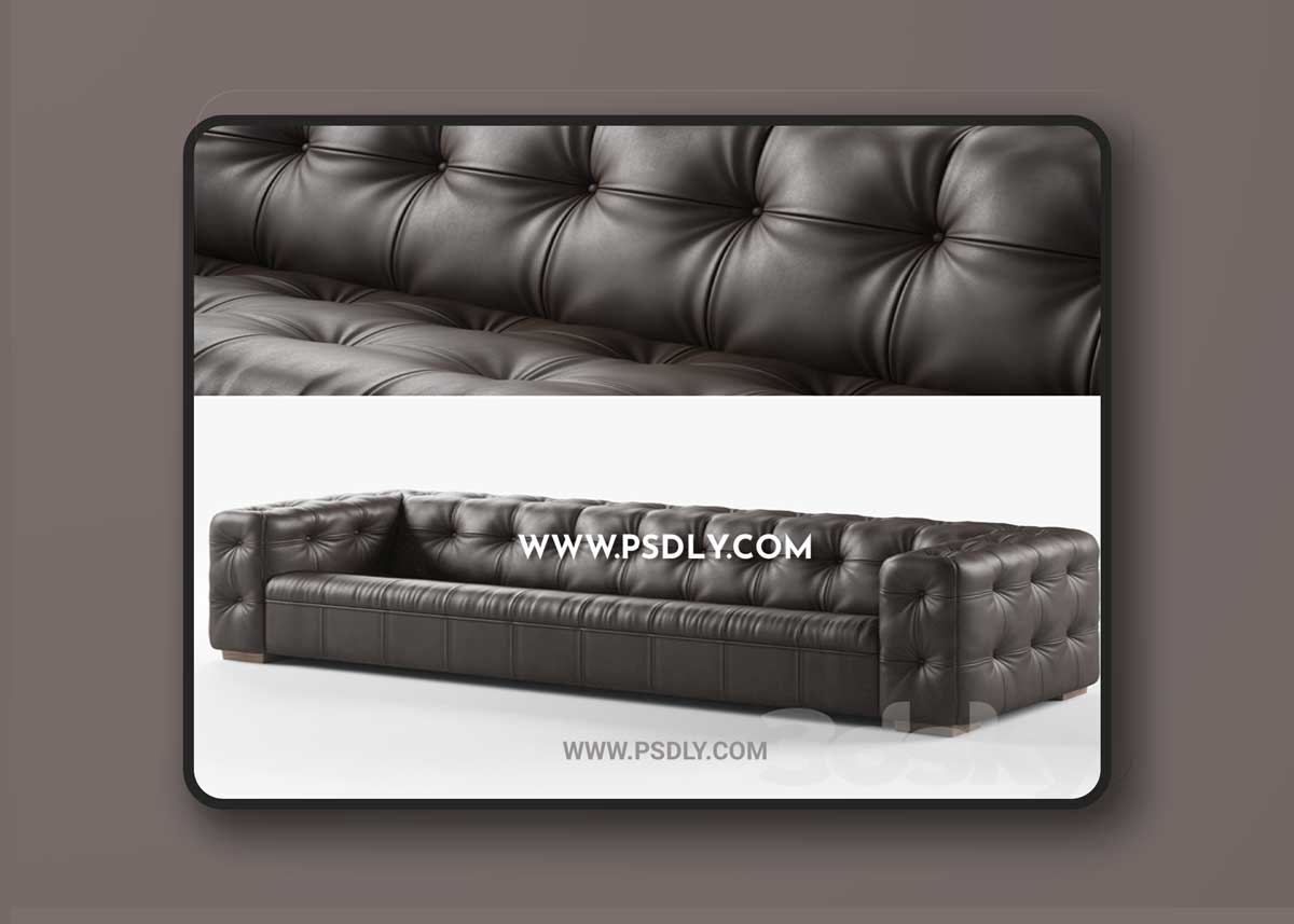 De Sede RH-306 sofa 3D Model