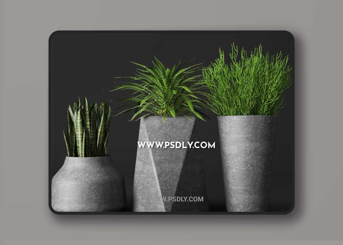 De Sede RH-306 sofaSet of concrete pots with plants