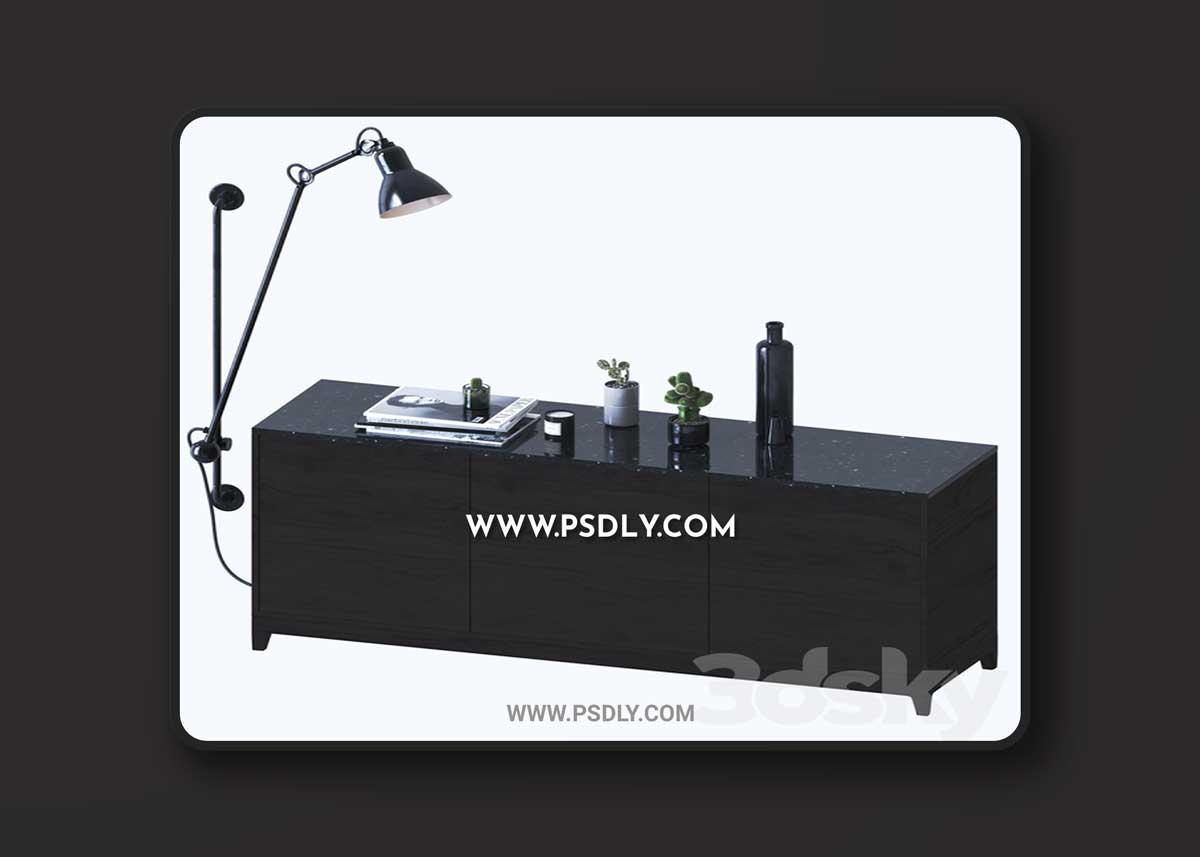 Decorative set with cactuses 3D Model