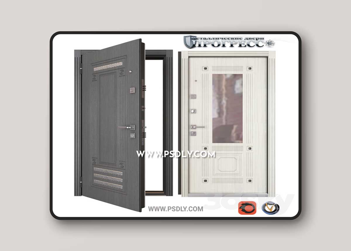 Entrance metal door Progress (Valencia)