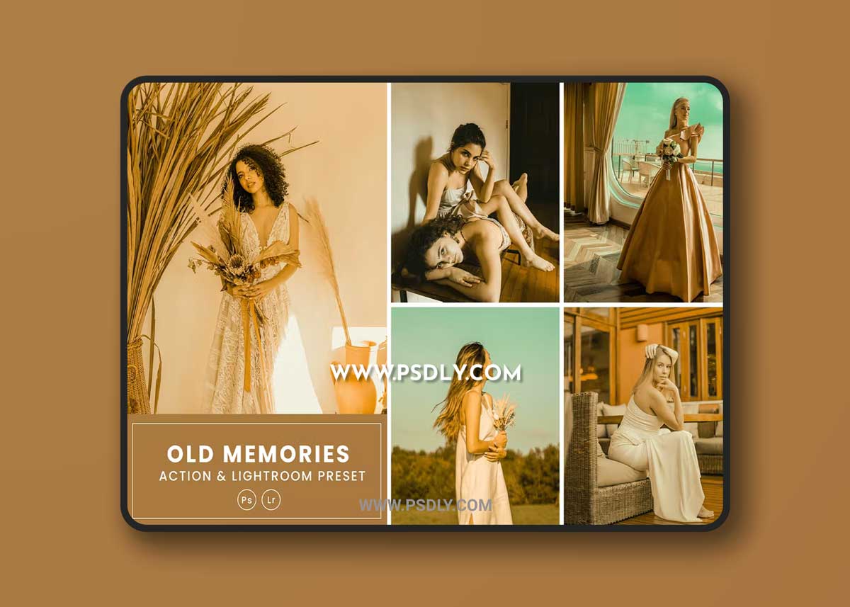 Old Memories Action & Lightrom Presets