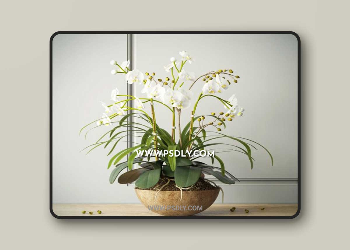 Orchids with willow branches 3D Model
