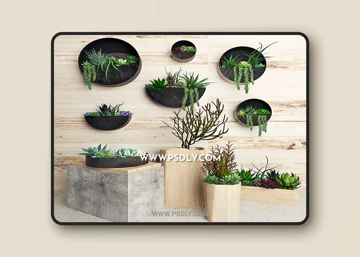 Plant on the wall 3D Model
