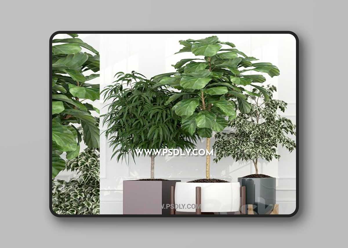 Plants collection 67 3D model
