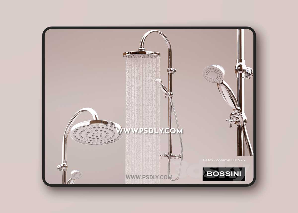 Showerhead Bossini Retro L01526