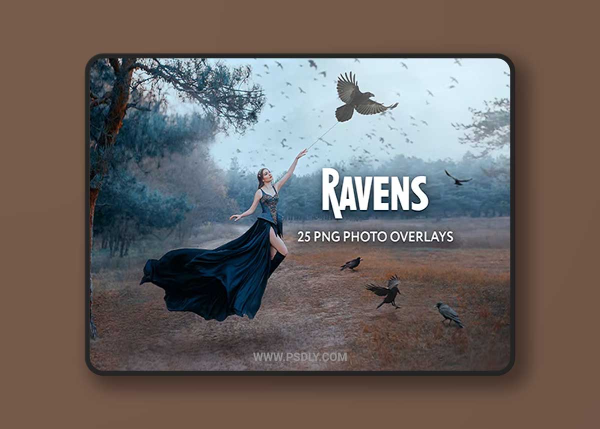 25 Ravens Photo Overlays