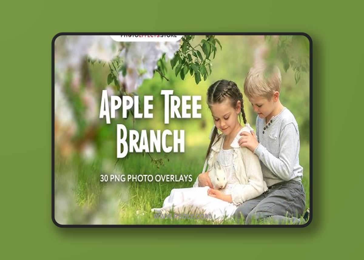 30 Apple Tree Branch Photo Overlays