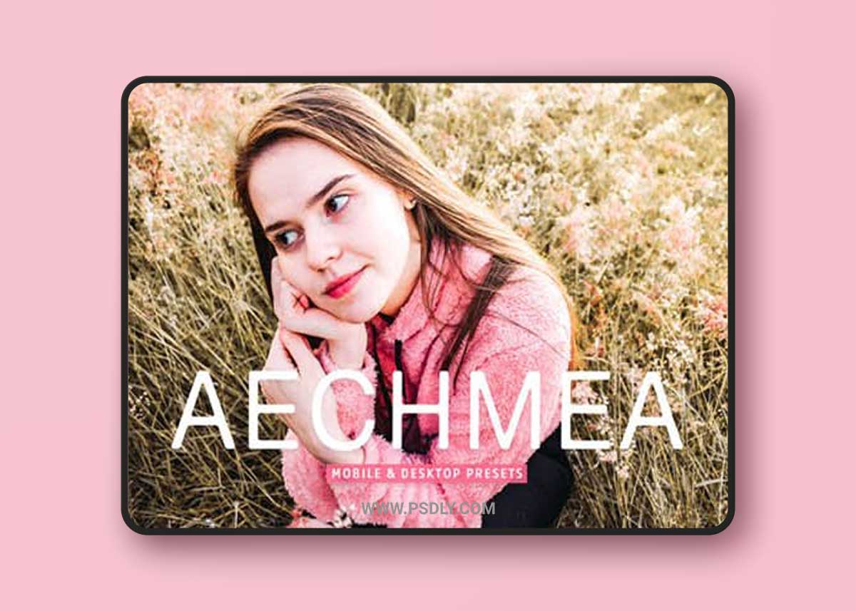 Aechmea Pro Lightroom Presets