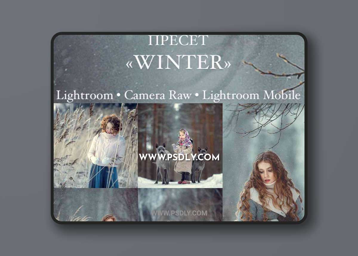 Anna Melnikova - Winter Preset