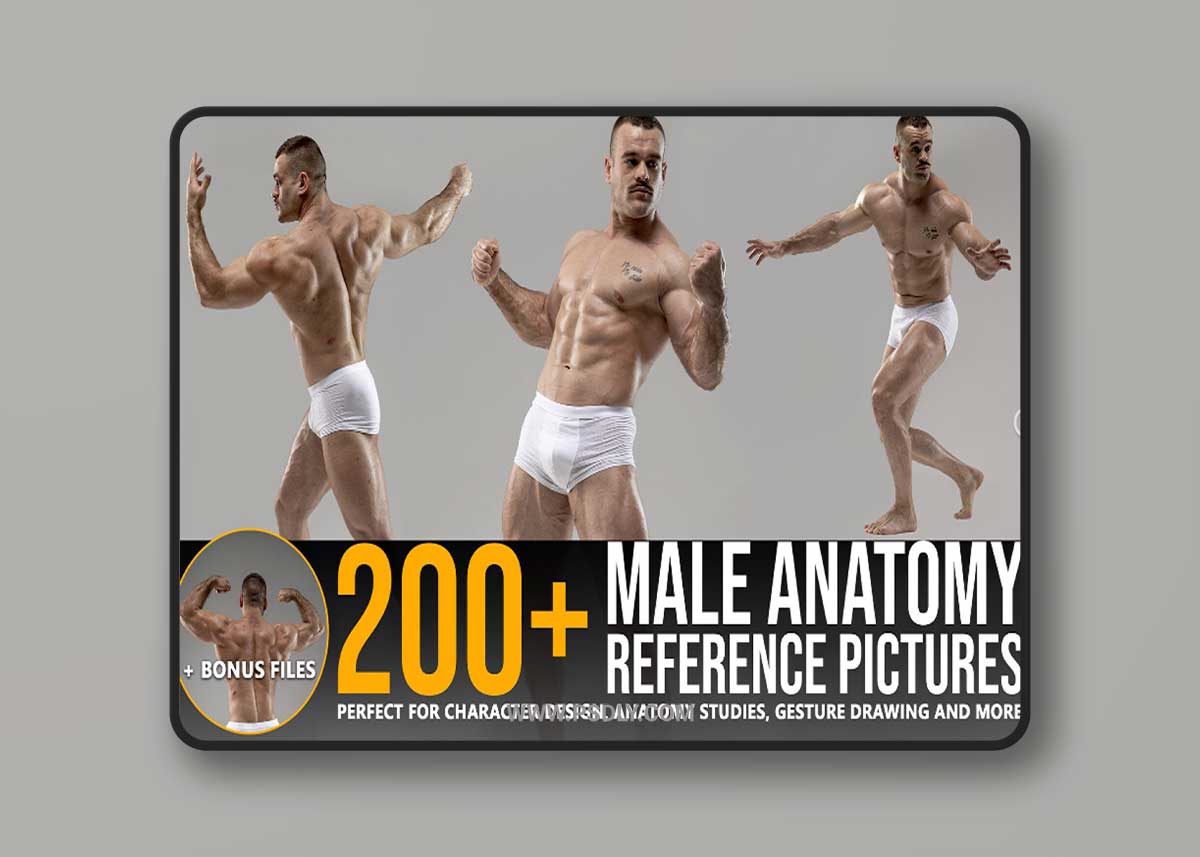ArtStation - Grafit Studio - 200+ Male Anatomy Reference Pictures