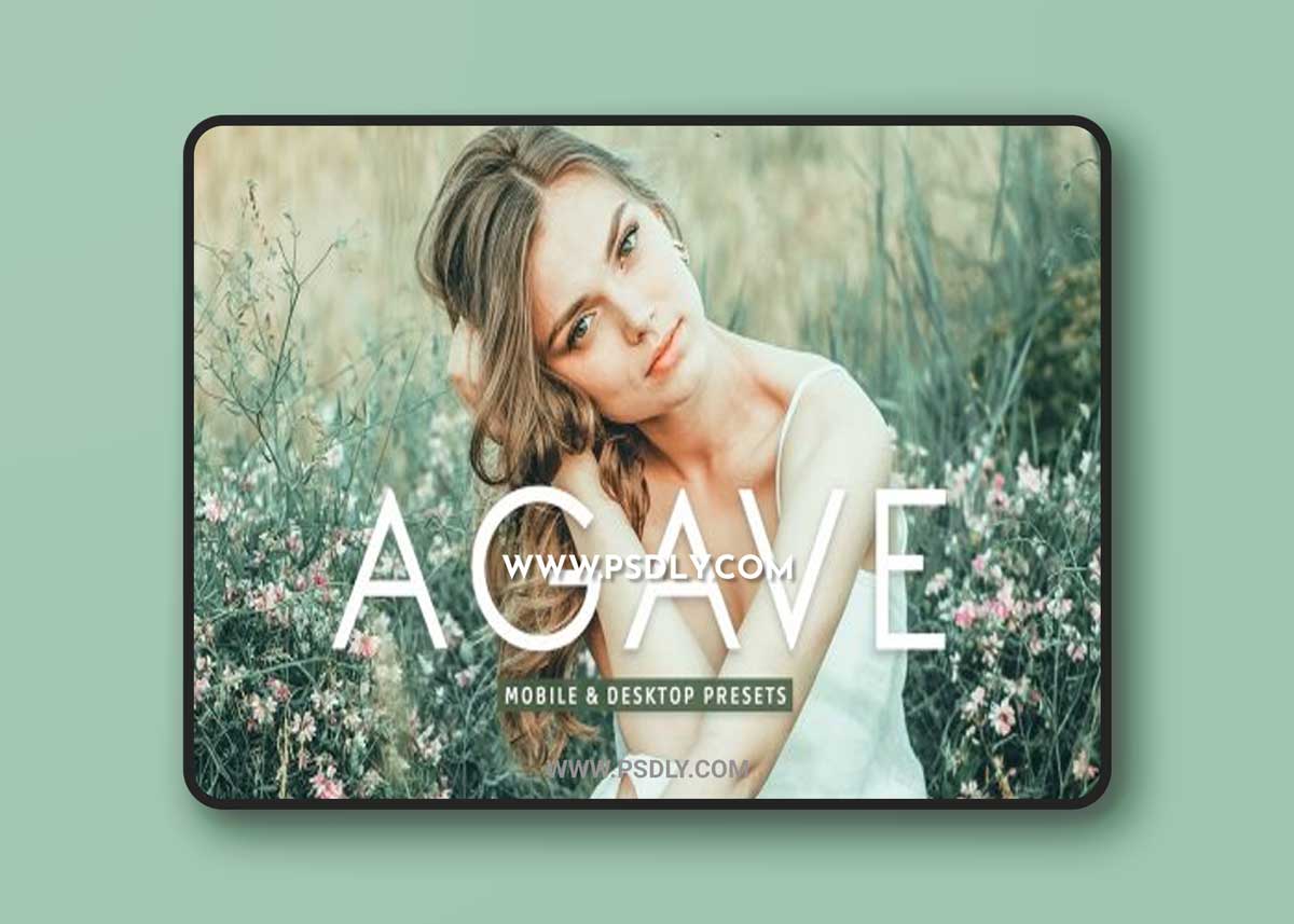 CreativeMarket - Agave Pro Lightroom Presets 7003211