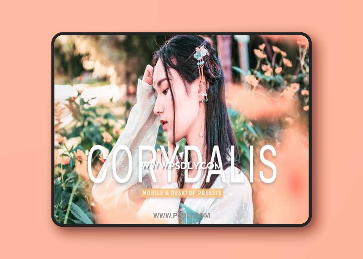 CreativeMarket - Corydalis Pro Lightroom Presets 7079833