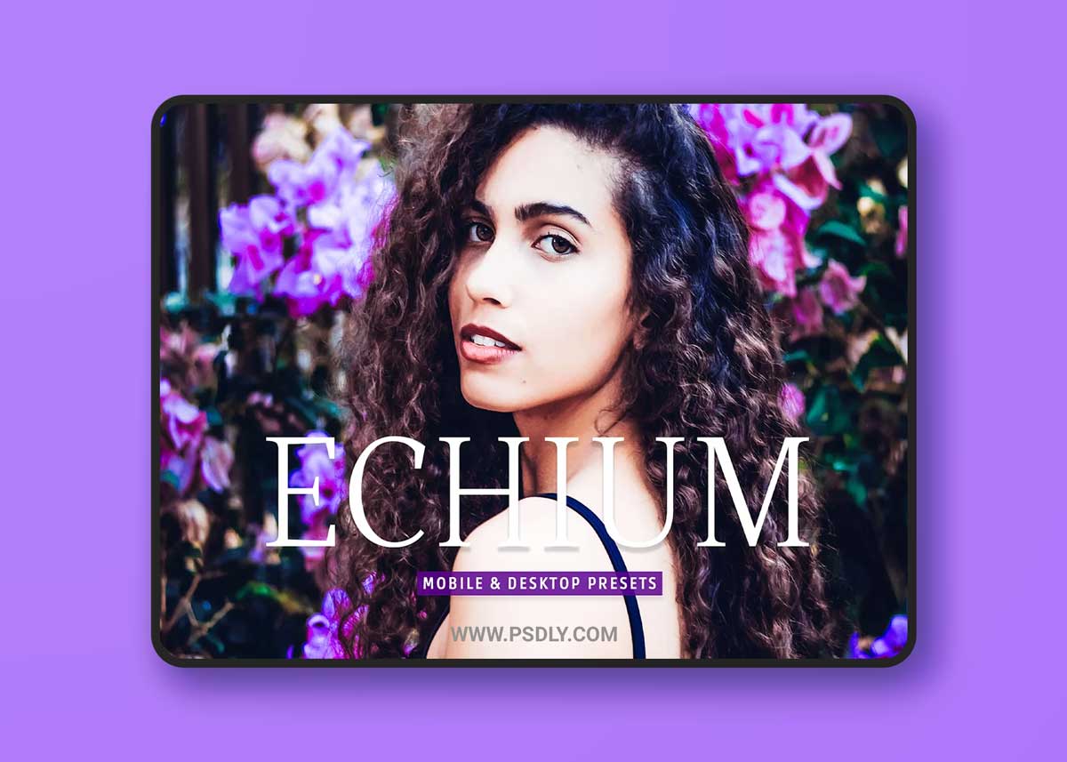 CreativeMarket - Echium Pro Lightroom Presets 7039499