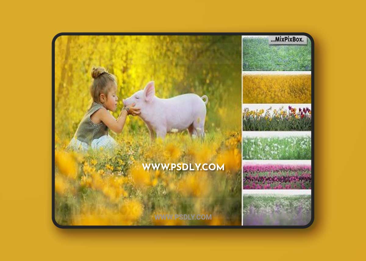 CreativeMarket - Flowers and Grass Overlays 6120187