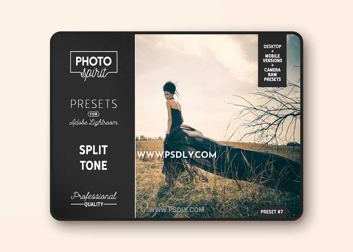 CreativeMarket - Split Tone Presets Mobile + Desktop 3718347