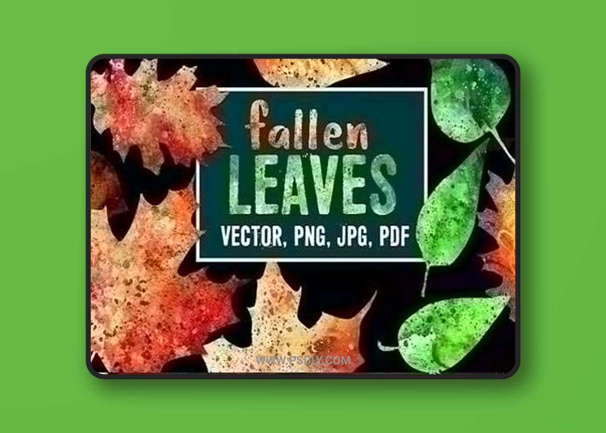 Fallen Leaves - 28 Colorful Elements 1213670