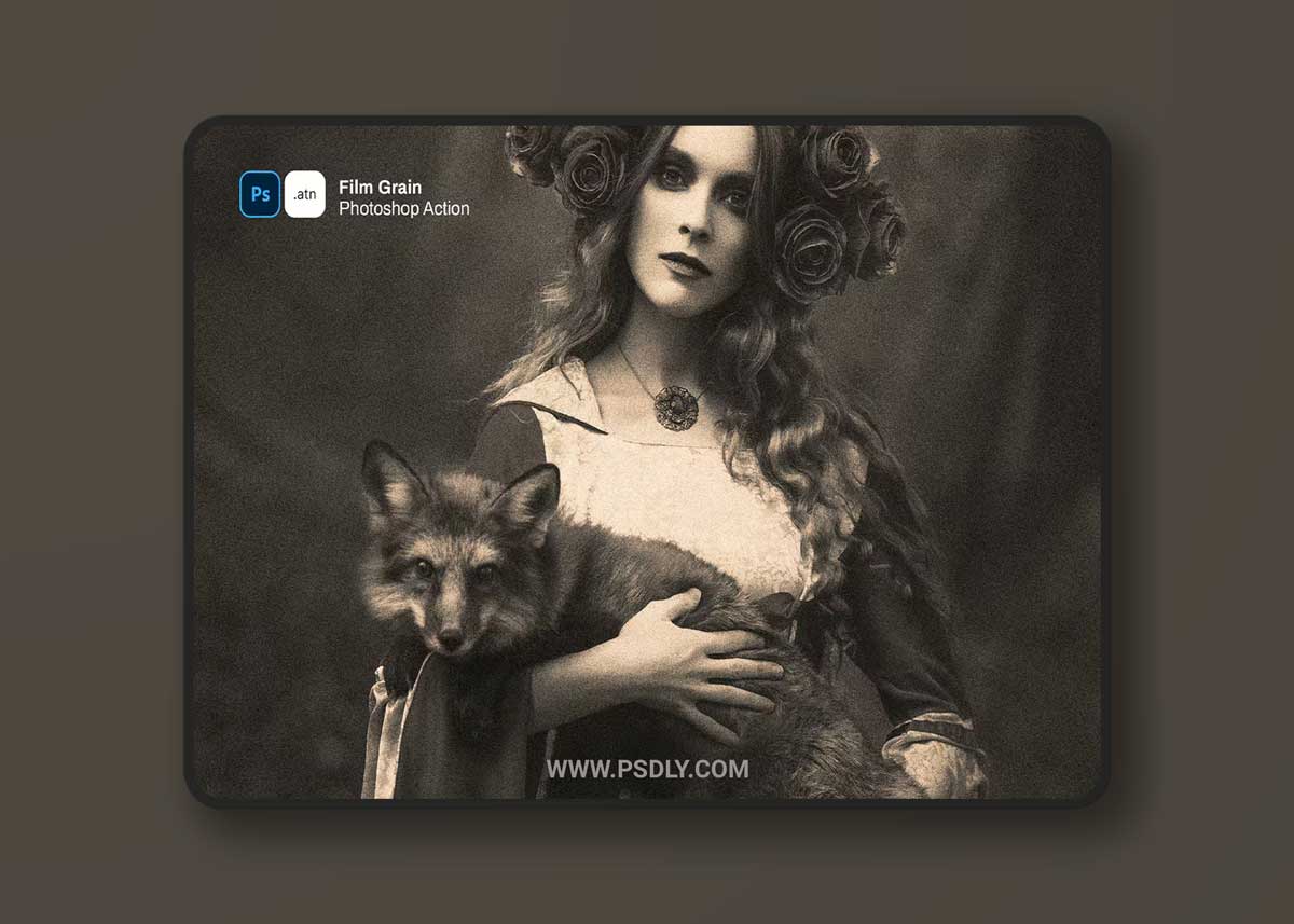 Film Grain Photoshop Action