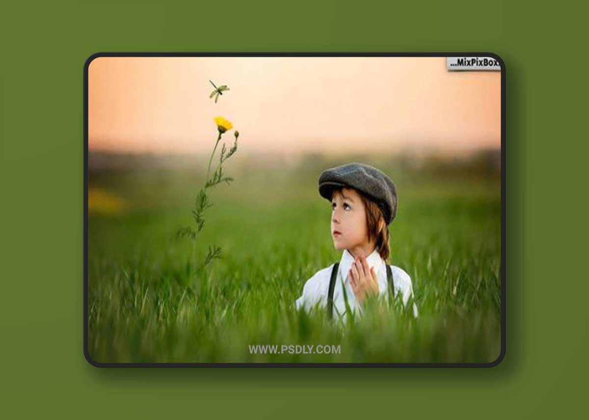 Grass and Flowers Photo Overlays