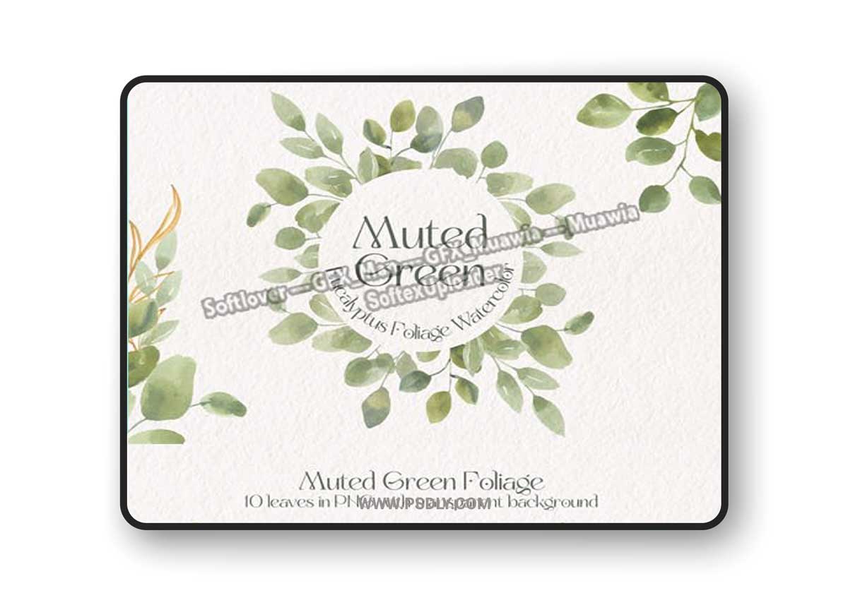 Green Eucalyptus Watercolor - Foliage Illustrations