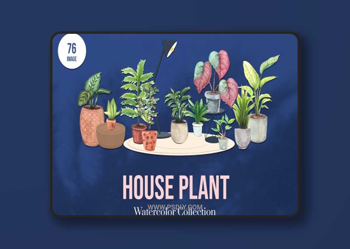 House Plants Watercolor set