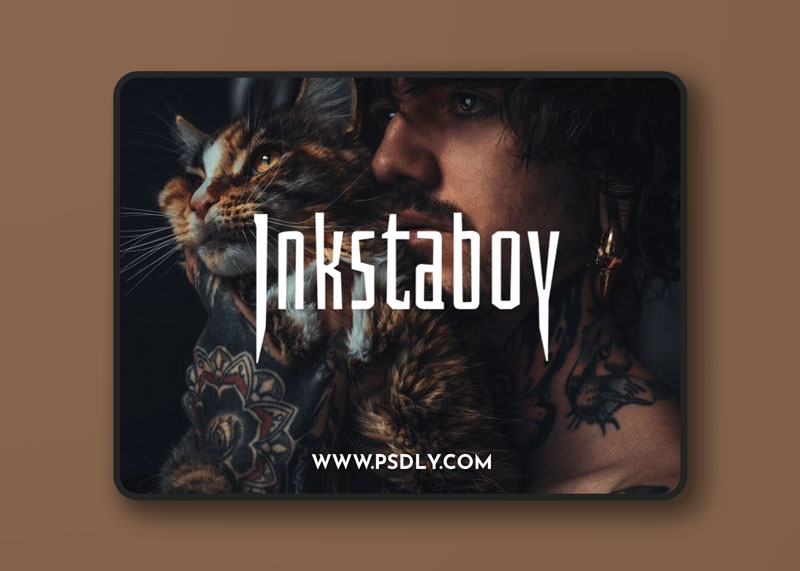 Inkstaboy Inkstagraphy 2.0 Presets Download